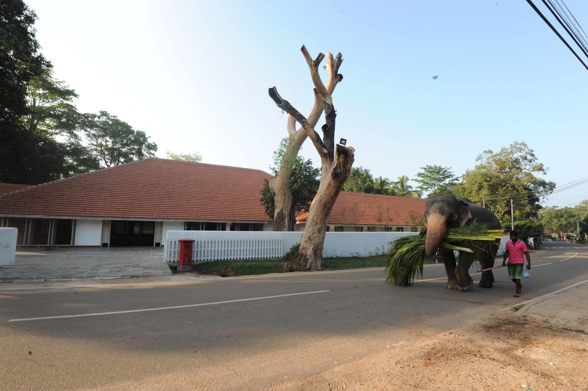 Ekho Sigiriya Hotell Exteriör bild